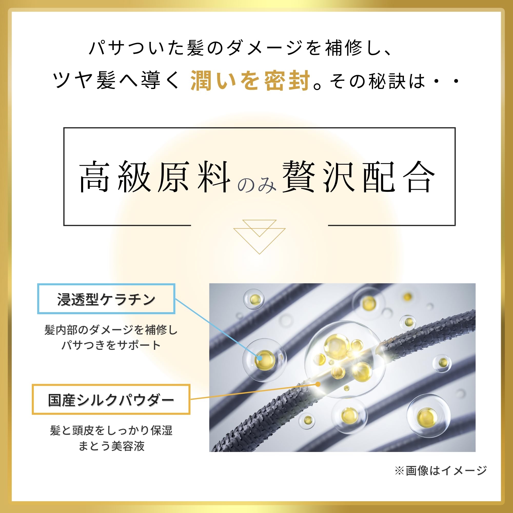 Amazon | 【プレミアム育毛シルクシャンプー】SORAシャンプーGOLD 2本